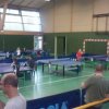 Finale poussins